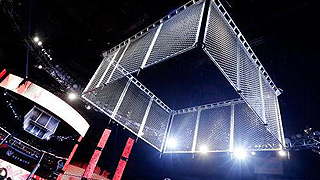 Steel Cage