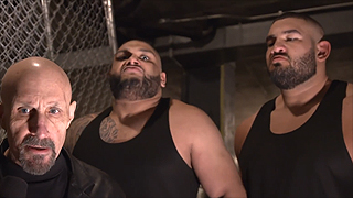 Authors of Pain