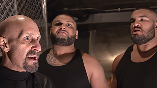 Authors of Pain