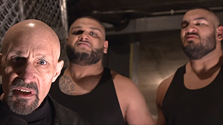 Authors of Pain