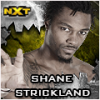 Shane Strickland