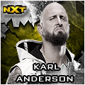 Karl Anderson